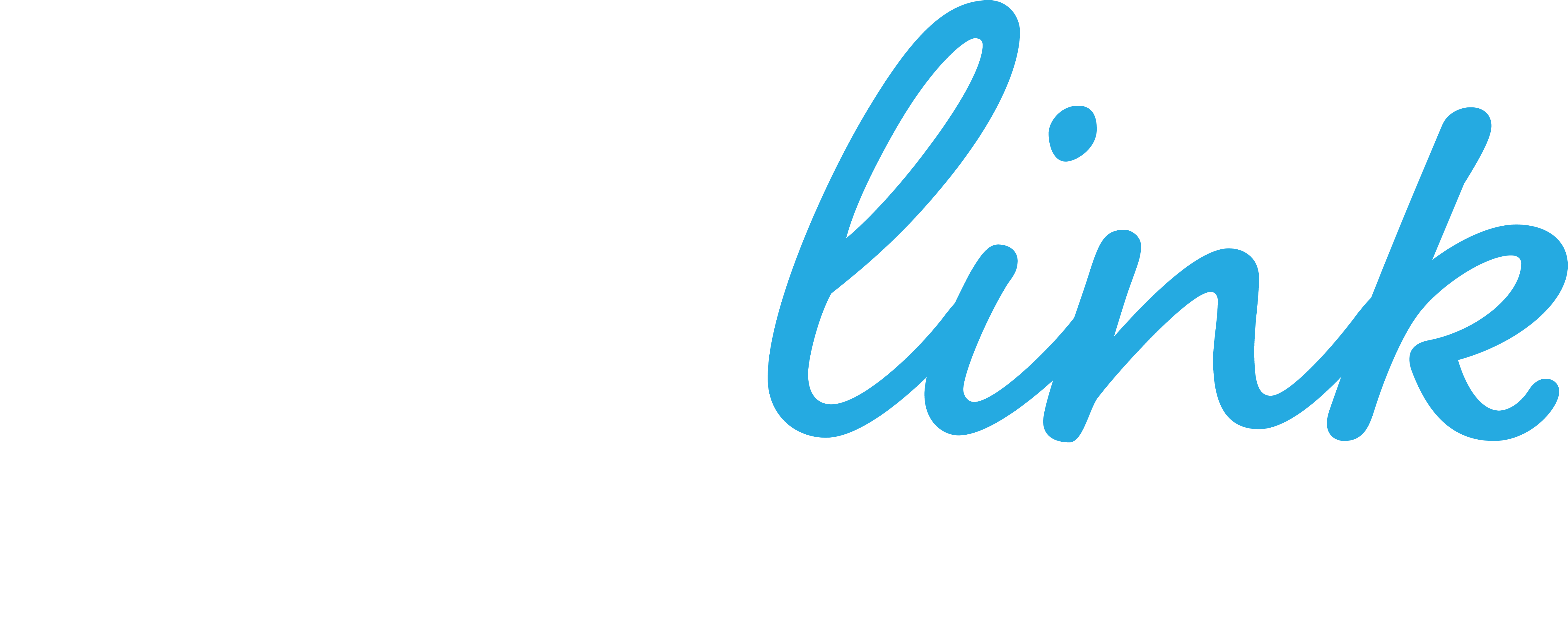 OneLink Holdings